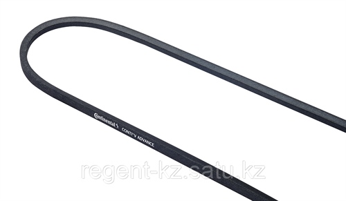 217981020_klinovoj-remen-contiv