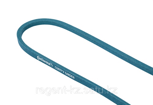 217981478_klinovoj-remen-conti-v