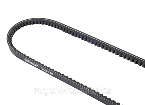 217983550_klinovoj-remen-conti-v