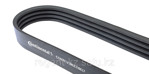 218002926_mnogoruchevoj-remen-9